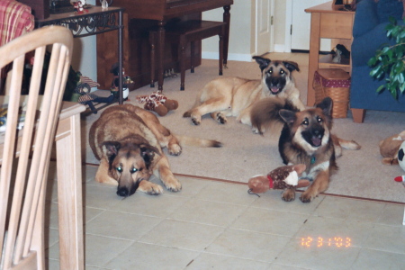 Frazier, Rommel, and Jonah; Georgia, 2003