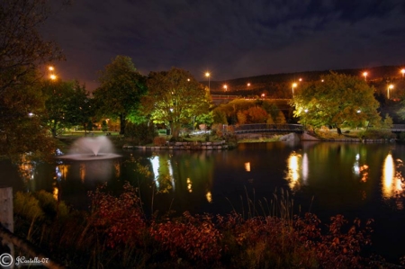 fall night in bowring park