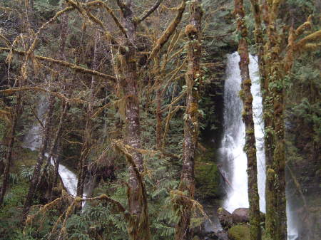 Olympic National Park (2005)