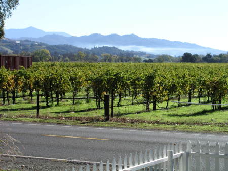 View from my porch looking southeast