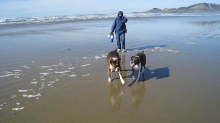 Oregon Coast