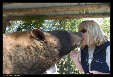 'Bearly' a kiss