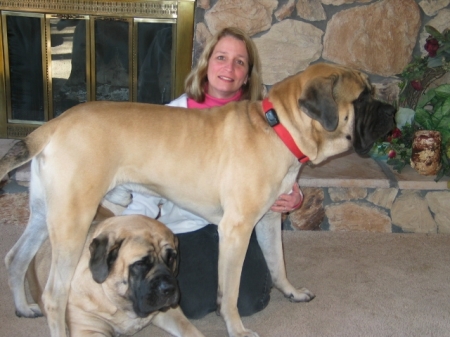 Brenda & 2 Pups