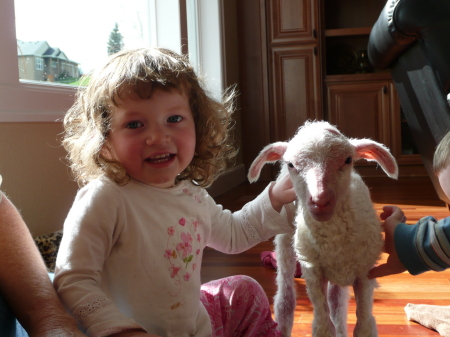 Sophia and hypothermic lamb
