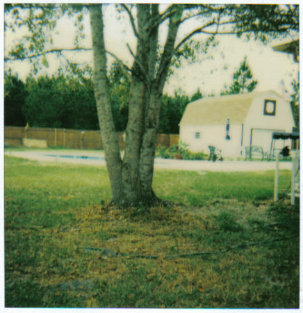 Pool & barn .......