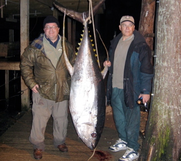 Tuna 2007