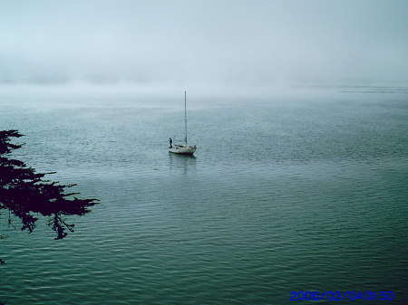Foggy day at Morro Bay