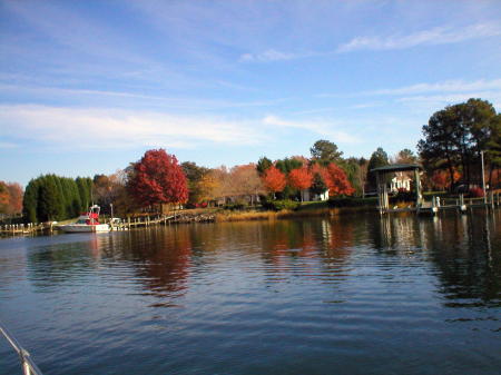 neighborhood view from our boat