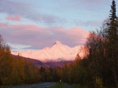 Fall Alpin Glow in the Matanuska Valley Alaska