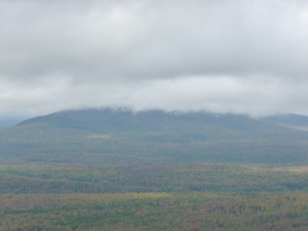 View from Fire Tower Arab Mnt. summit