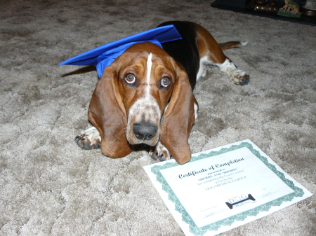 Brodie's Graduation