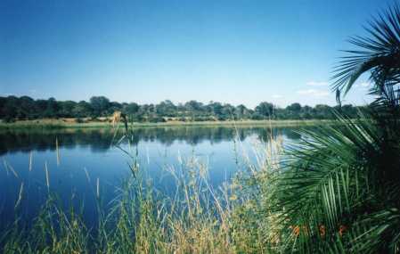 same shot, Kavango River daytime