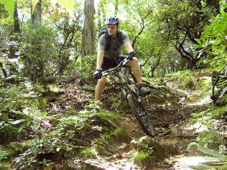 biking in the pisgah national forest