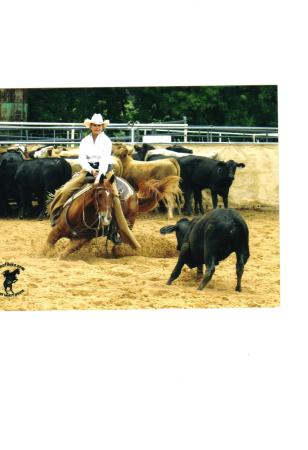 cutting horse show 2006