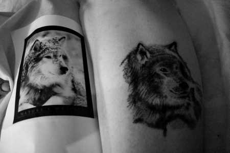 Wolf tattoo on calf.