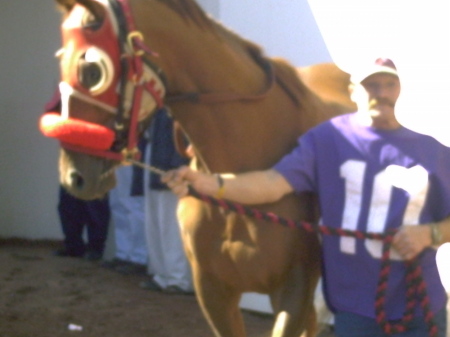 In the paddock at race time