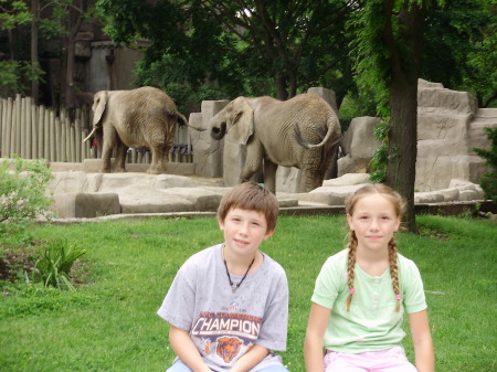 Brookfield Zoo---June '08