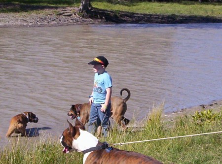 A Boy and His Dogs