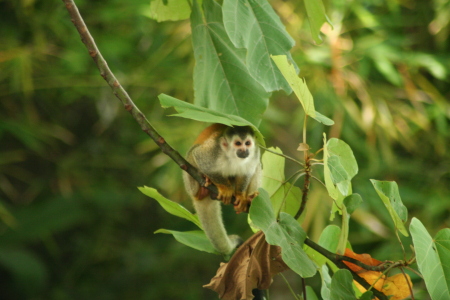 Costa Rica 05