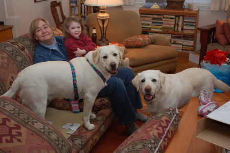 Christmas with Amy and the dogs