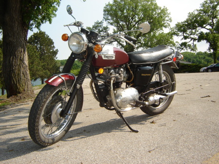 1972 Daytona Tiger (Cindy)