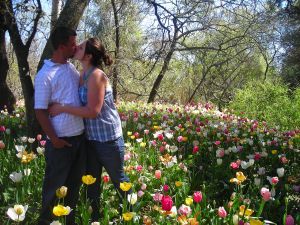 Us in a tulip patch