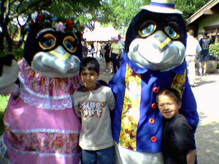 Ms. Penguin, Diego, Mr. Penguin, Dominic