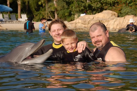 fun with dolphins