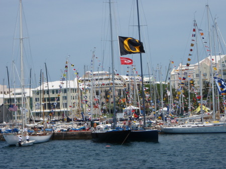Bermuda 2008 Hamilton