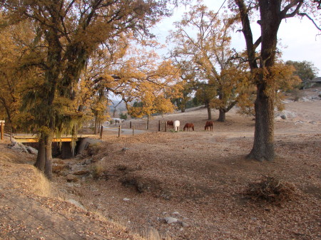 fall on the central coast