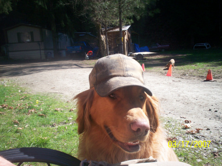 MY CODY DOG, "ALWAYS READY TO GO HUNTIN"