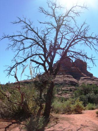 Bell Rock - Sedona, Arizona