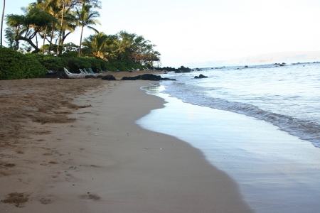 Ulua beach/reef