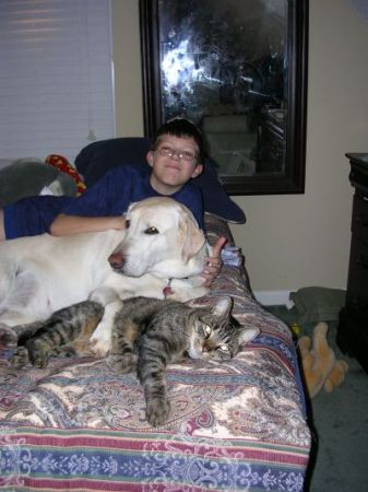 Tristan, Kiara (dog) and Scamp (cat)