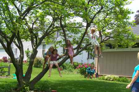 Grandkids in their favorite backyard tree!