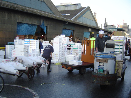 The Fish Market, Tokyo, Japan. 2004 Japan / China trip