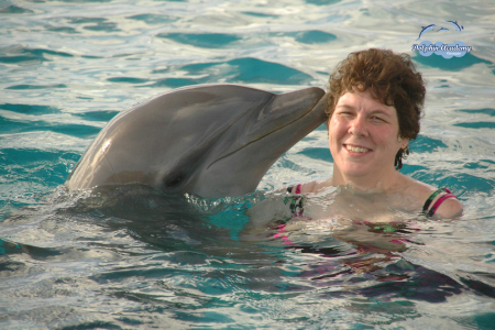 Dolphin Swim 2007