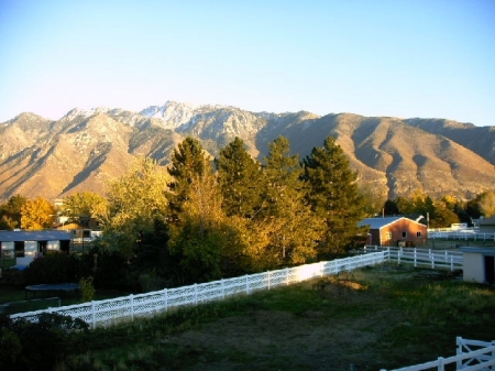 My backyard in Salt Lake.