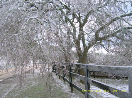 Ice Storm Jan '07 Boerne (San Antonio) TX