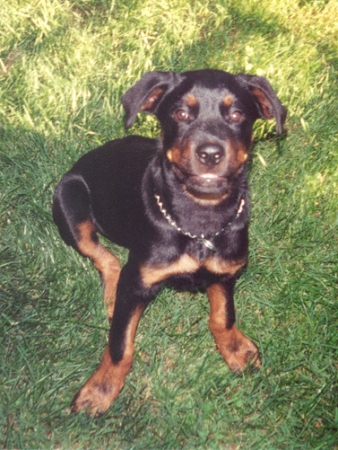 Sampson smiling at Mommy!