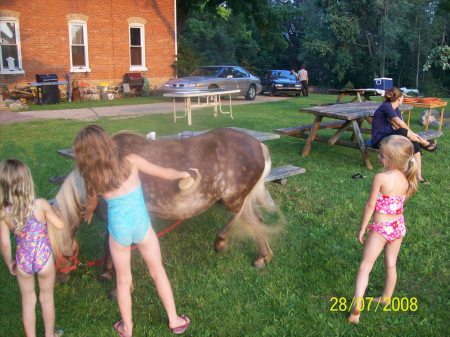brushing our pony