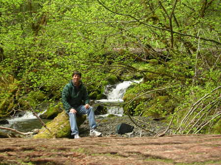 Olympic National Park