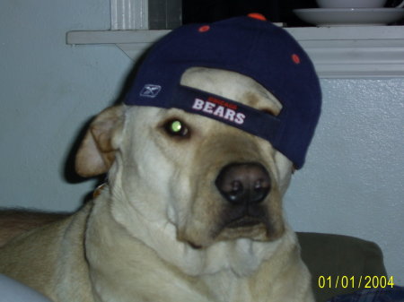 charley in bears hat