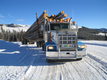 logging in the crowsnest pass