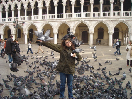 Venice is for the birds