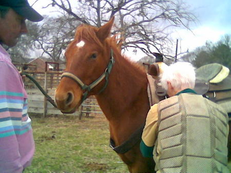 King Jackson my horse. trainers CC & Paul