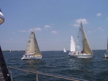 Sailfest in bluewater bay