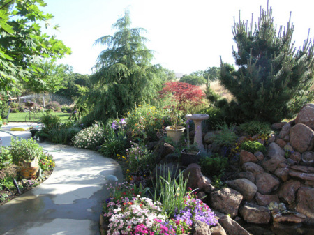 The Pond and backyard left view.