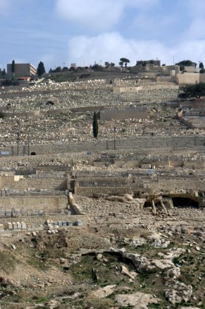 Mount of Olives