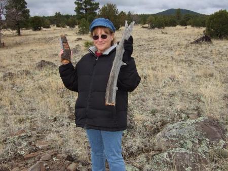 Camping at Stoneman Lake near Flagstaff, AZ